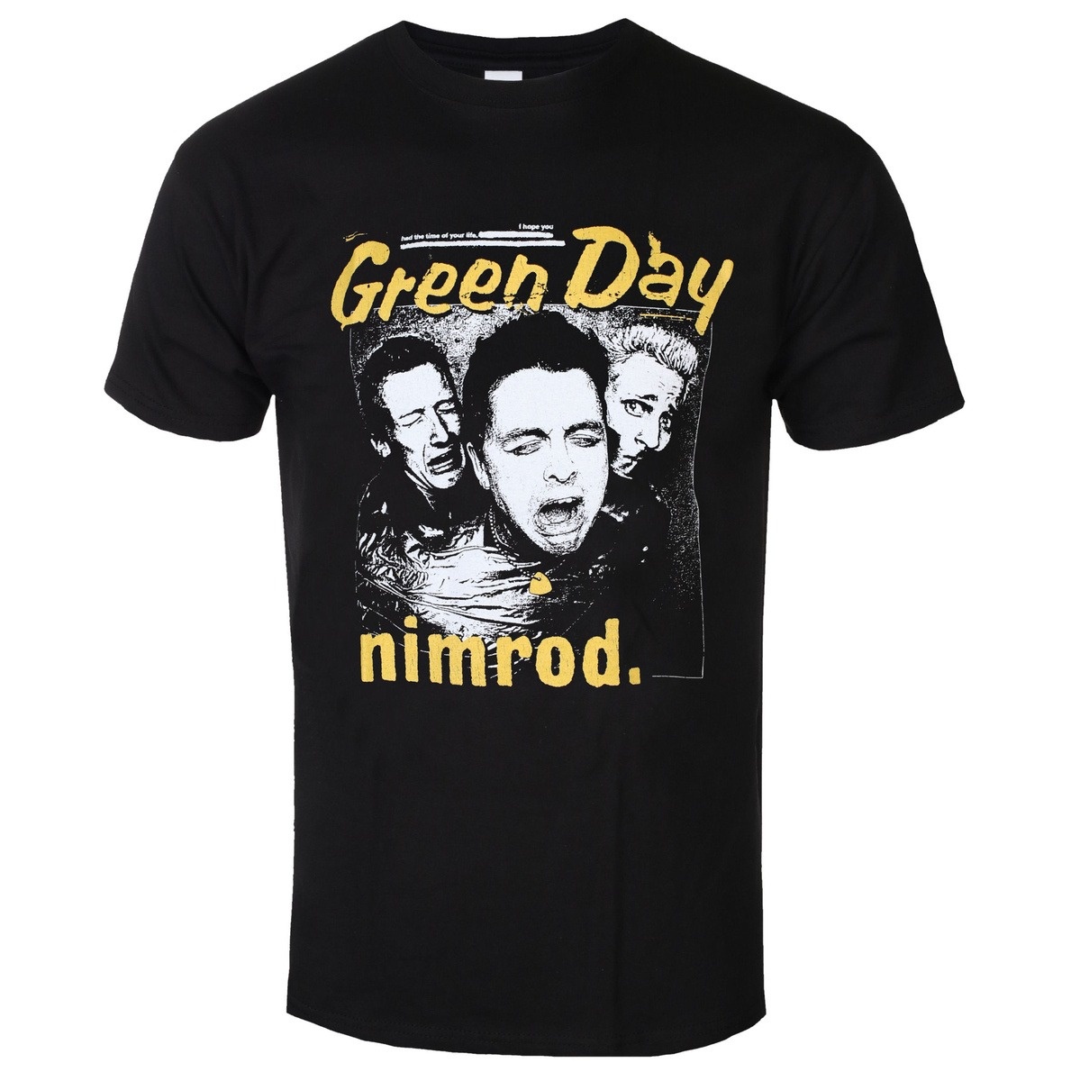 Band Tee Faded 90S - Green Day Distressed Faded Band Member